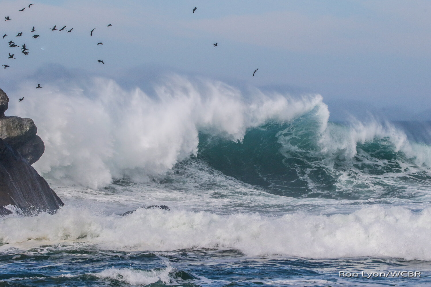 Waves of consequence at Morro Rock on Saturday 1/25/20